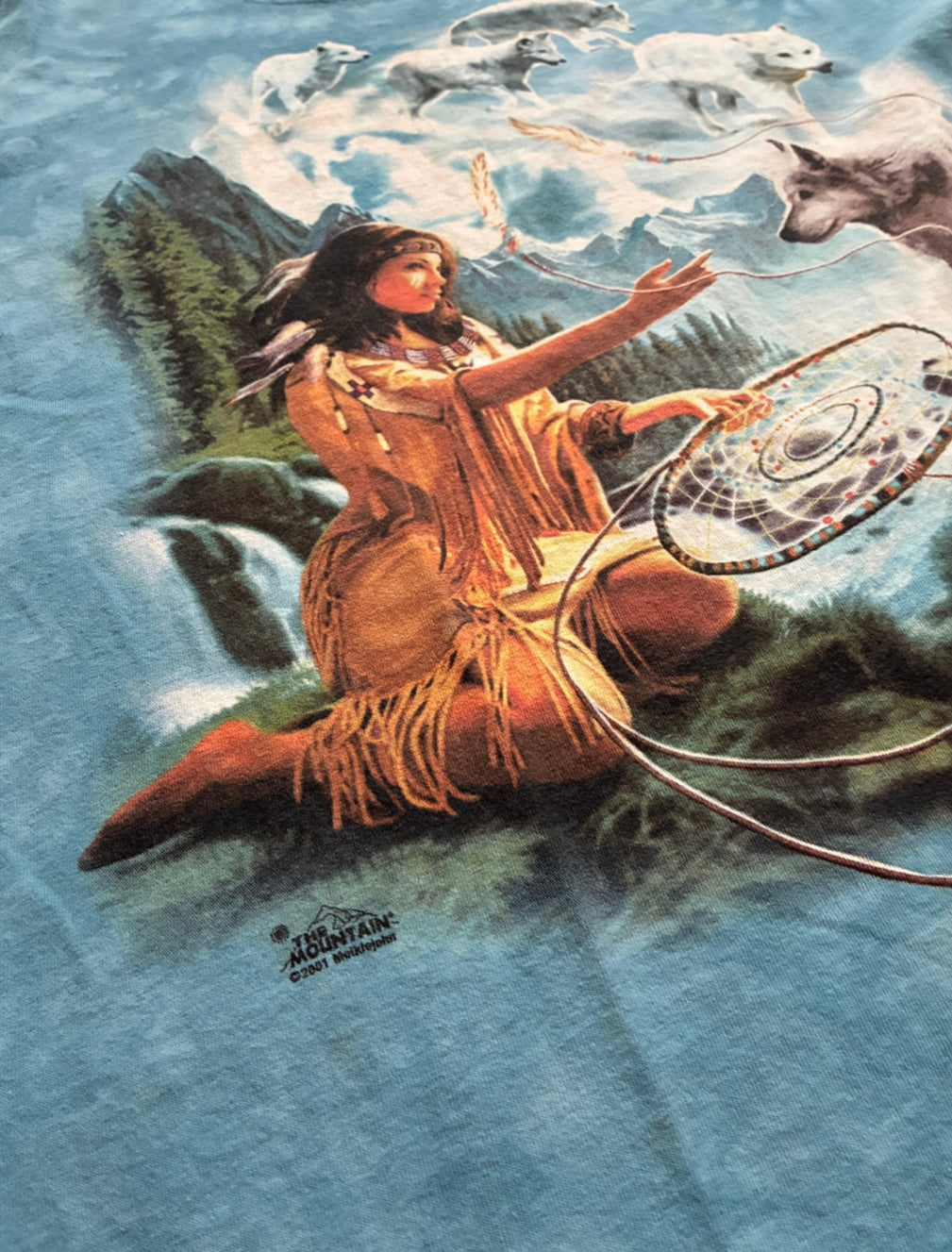 Vintage 2001 The Mountains Native American Tee - L