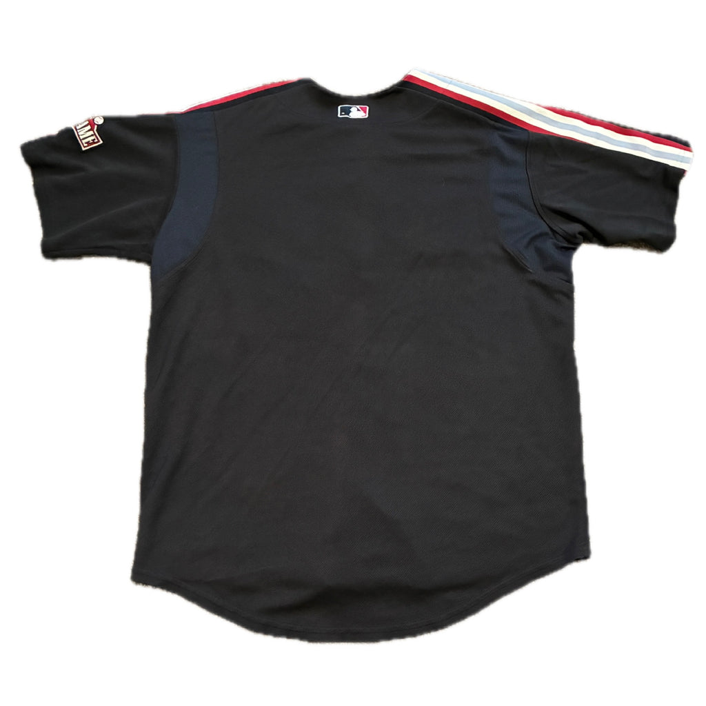 Vintage 2004 MLB Houston All-Star Game Jersey - L